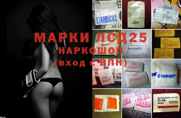 хмурый Верея